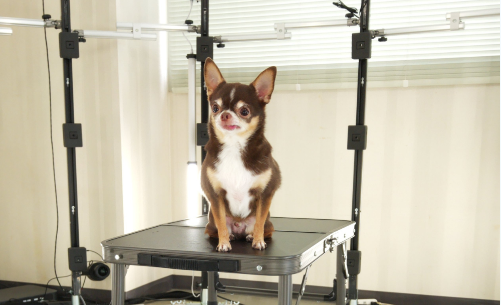 メモアペッツ・3Dフィギュア