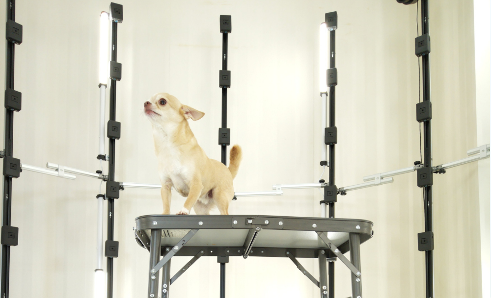 メモアペッツ・3Dフィギュア